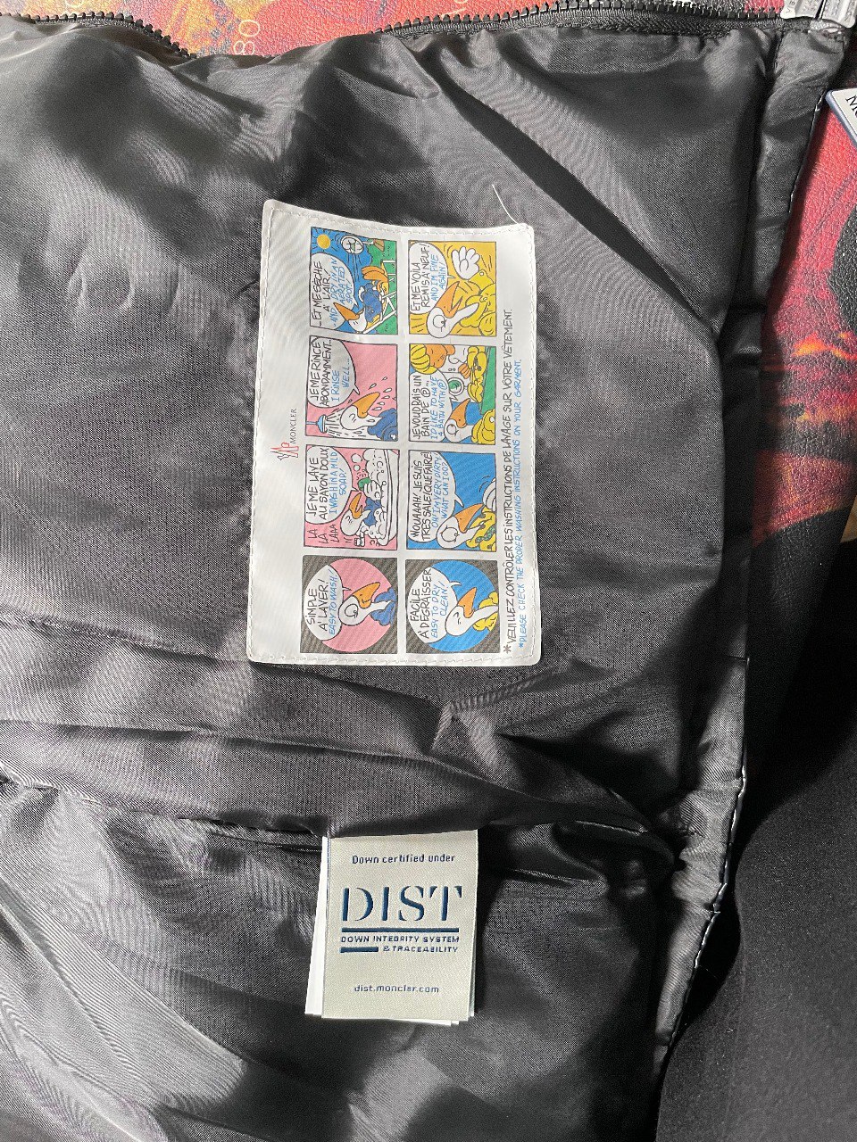 MONCLER Down