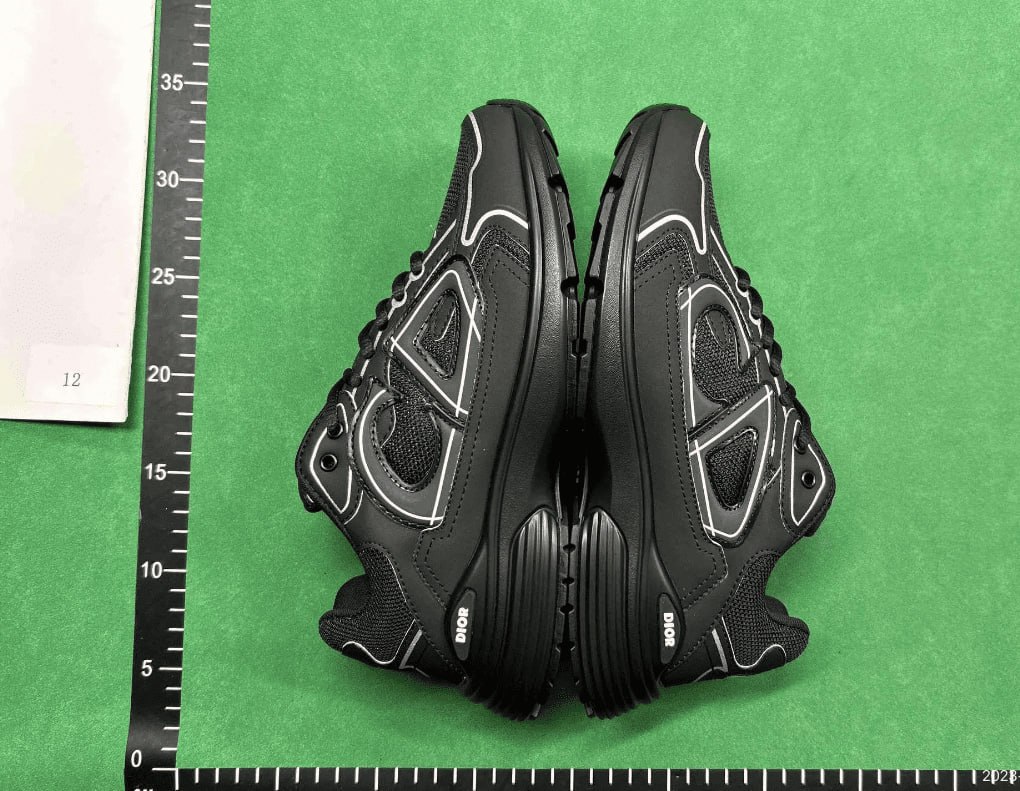 DIOR B30