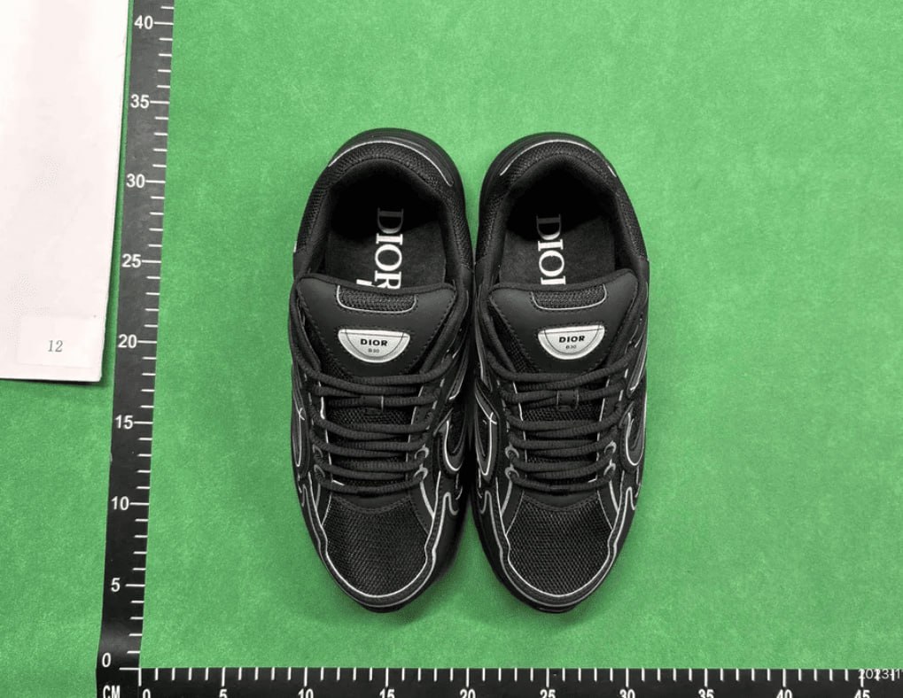 DIOR B30