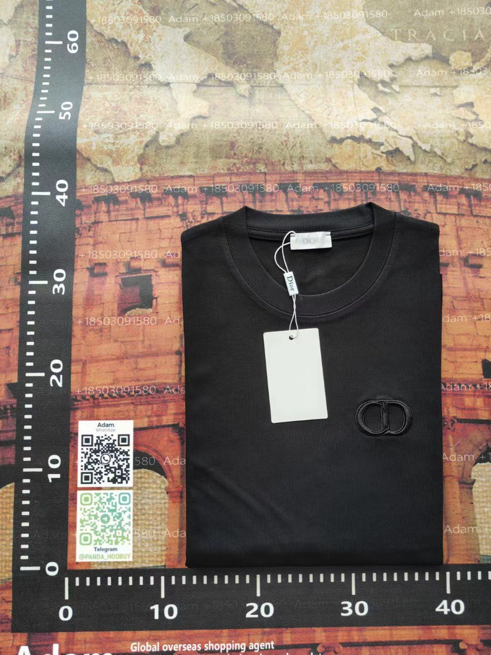 DIOR T-Sirt