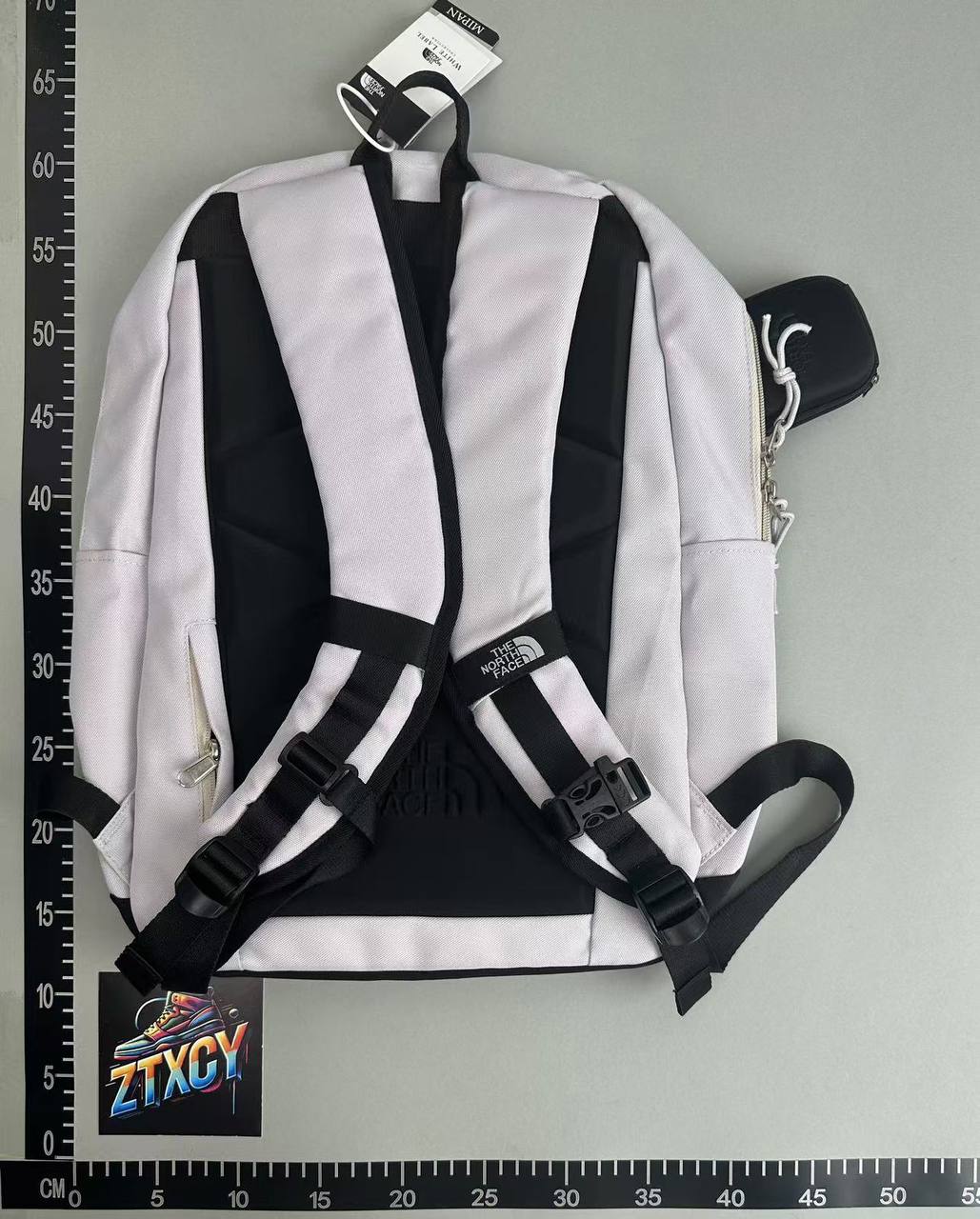 TNF Backpack