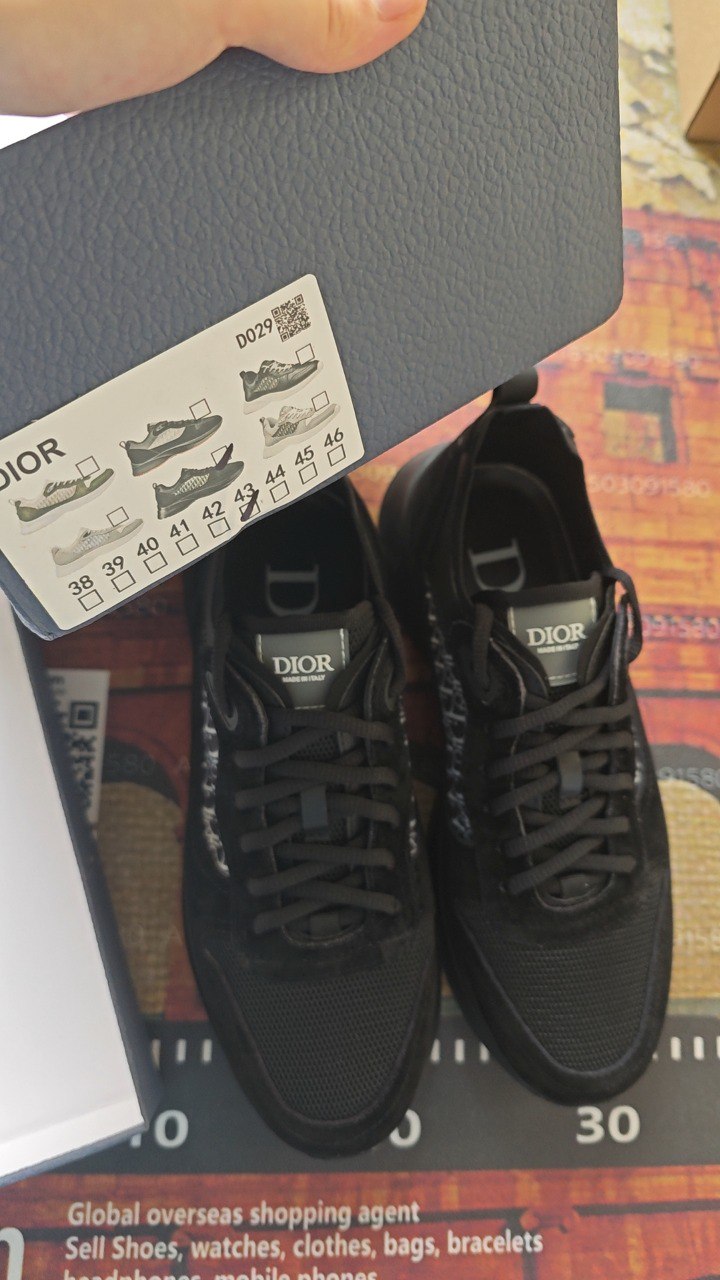  DIOR B25