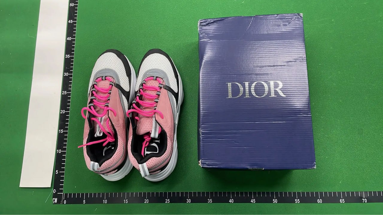 Dior B22 