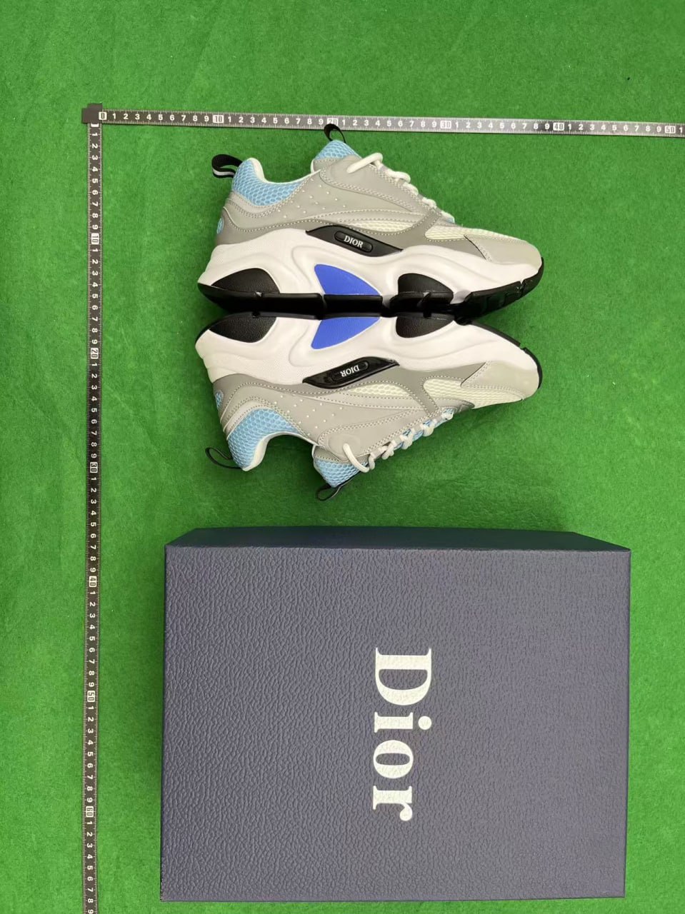 Dior B22