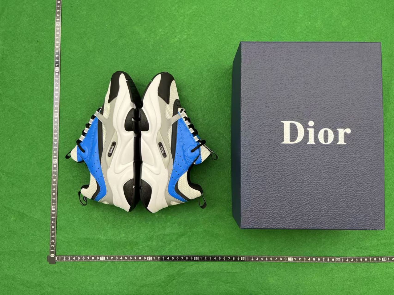 Dior B22