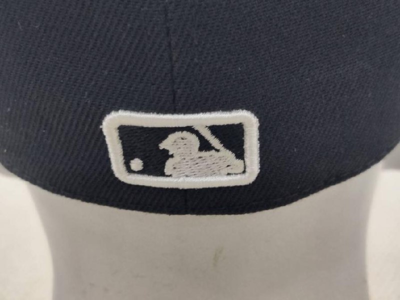  Caps（38+ Styles）