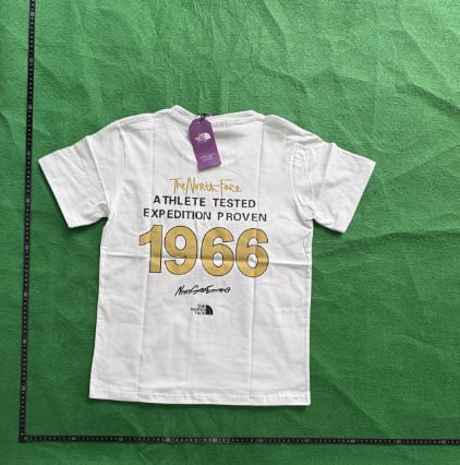  The north face T-shirt