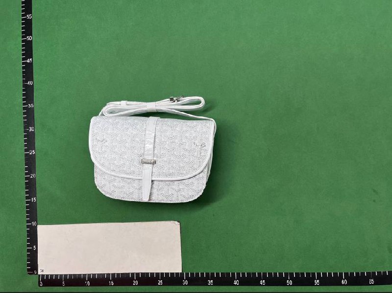 goyard wallet bag （30+）