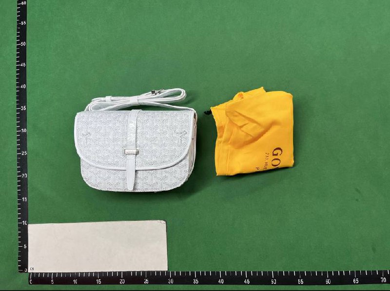 goyard wallet bag （30+）