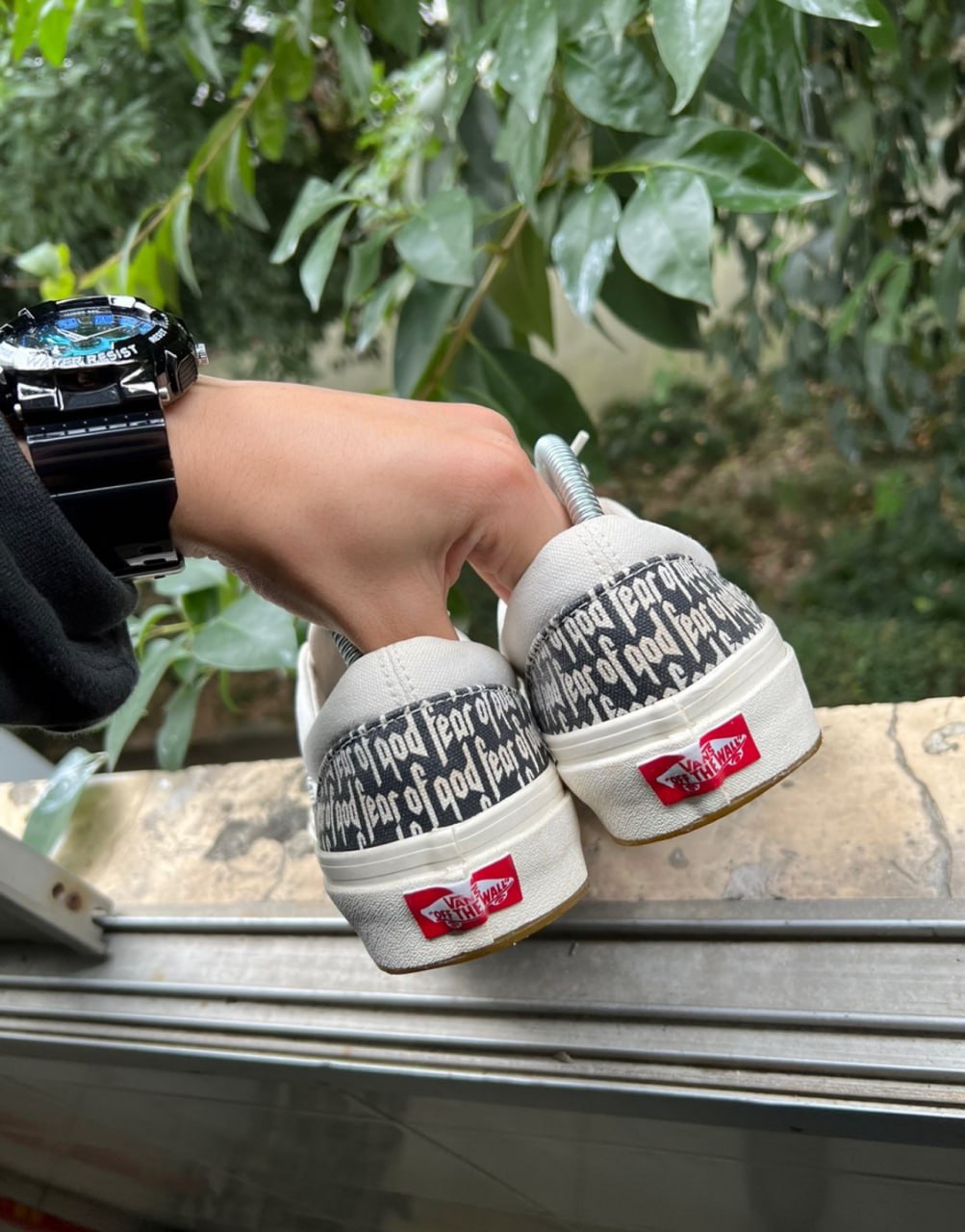  Vans Collection