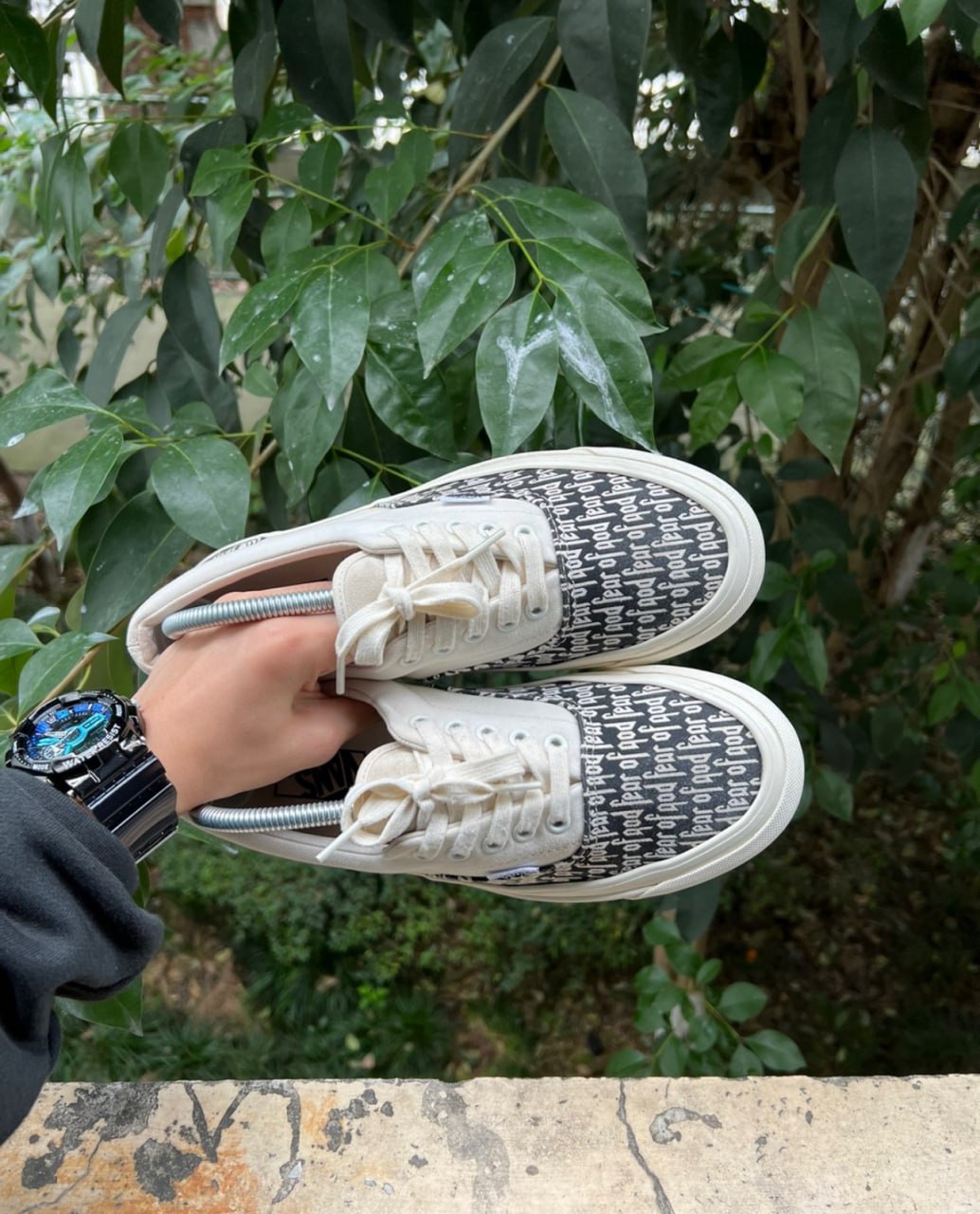  Vans Collection