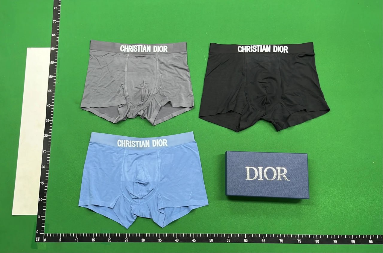 Dior underwear