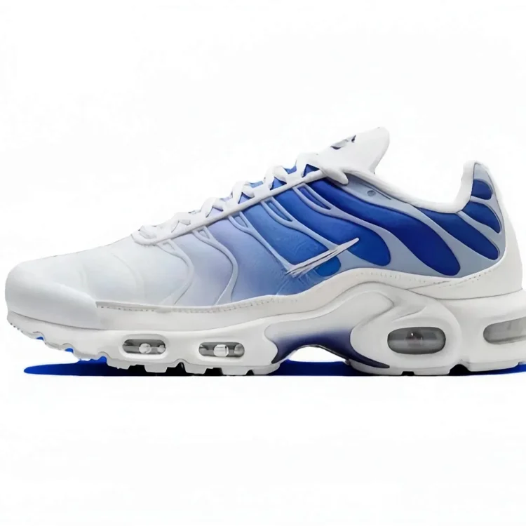  Nike Air Max Plus C