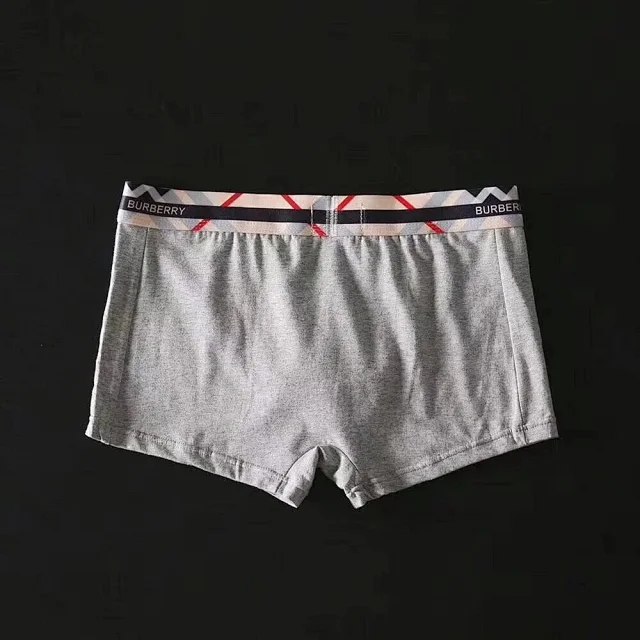 burberry Men's Fashionable Horse Printed Briefs Boxer Briefs Underwear 3pcs