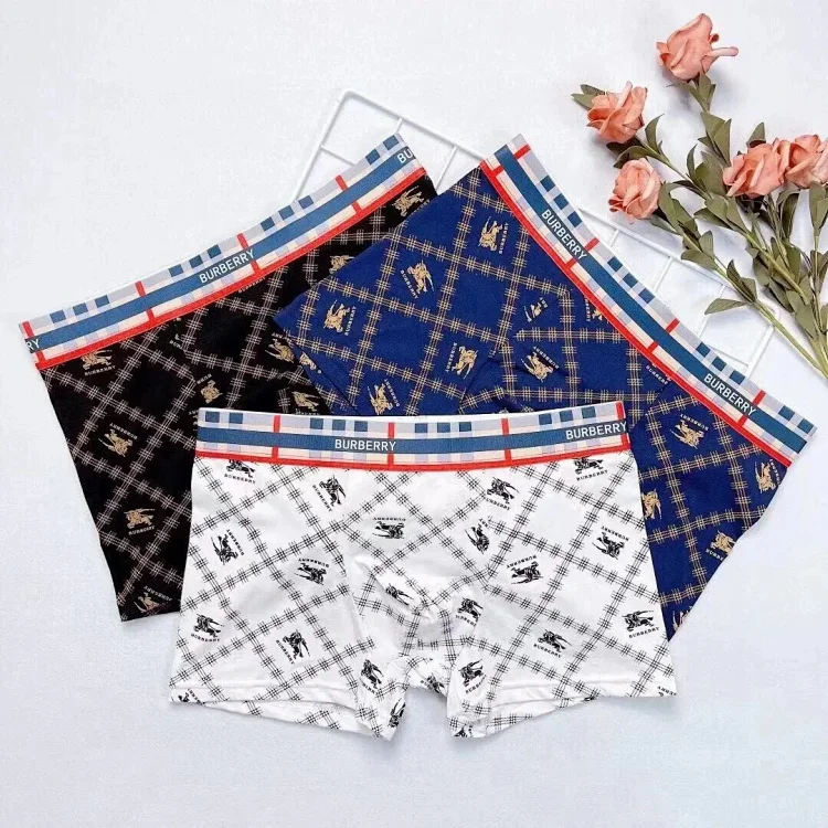 burberry Men's Warho