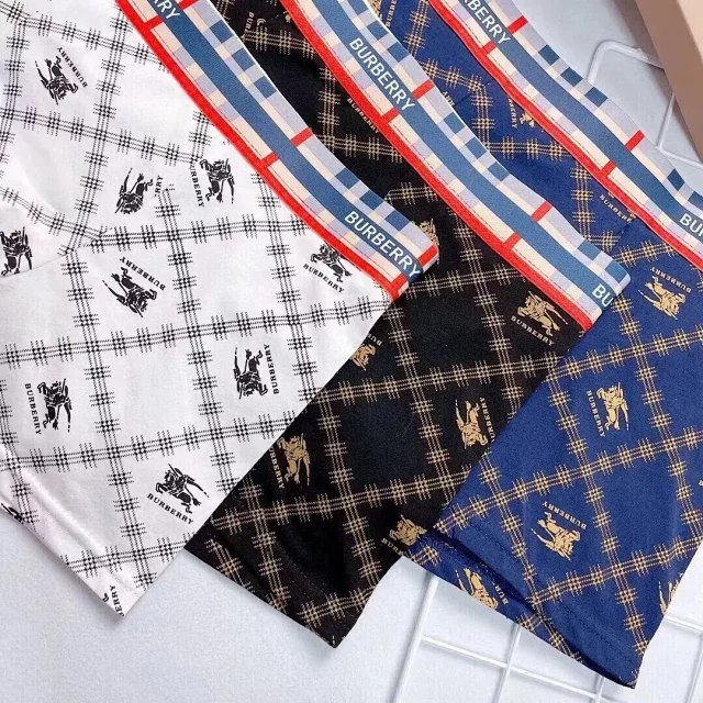 burberry Men's Warhorse Logo Printed Fashion Briefs boxer 3pcs