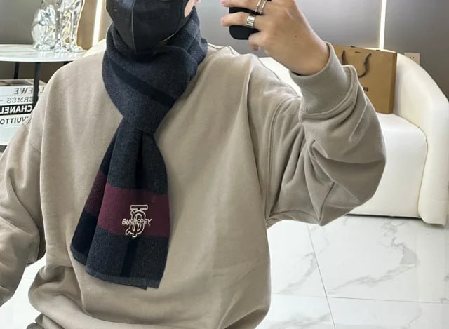  LV Louis Vuitton Burberry scarf 33 styles