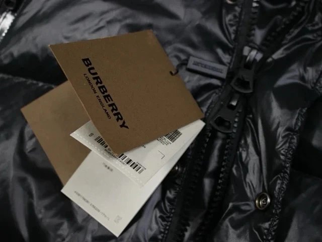 Burberry Down Jacket [2 styles]
